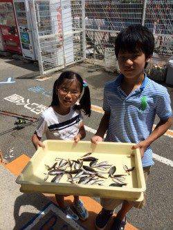 マリーナシティ海釣り公園　サビキで色々な魚種楽しめます