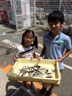 マリーナシティ海釣り公園　サビキで色々な魚…