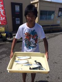 サビキでコノシロ・グレ・イワシ　マリーナシ…