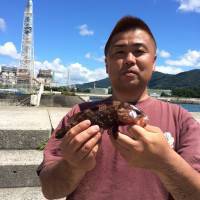 マリーナシティ海釣り公園　シラサの胴突きで…