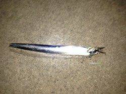 紀ノ川河口　表層付近のワインドでタチウオヒット！