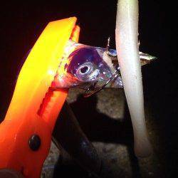 海南ワインド釣行　1時間で16匹釣れました！