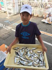 マリーナシティ海釣り公園でアジ・イワシ・グ…