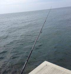 岬公園裏でちょい投げ・・・お盆で道中も釣り場も大混雑