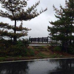 宮津・田井漁港周辺でキス釣り、ダブルもありました♪