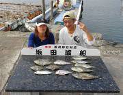 黒島の筏でアイゴ・チャリコ・カワハギの釣果…