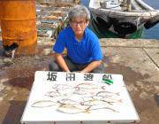 黒島の筏での釣果〜シラサでチャリコとシオ、…