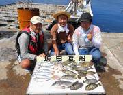黒島の筏にてチヌ・マルアジ・アイゴの釣果