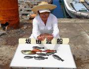 黒島の磯でアイゴ・グレの釣果