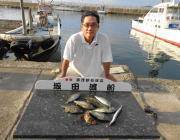 湾内の筏でアイゴの釣果