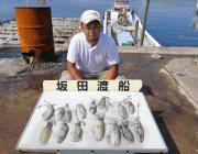 黒島の磯　アオリイカ新子～0.7㎏を15ハイ