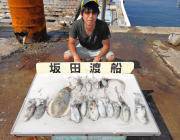 黒島の磯　アオリイカ新子～0.7㎏を15ハ…