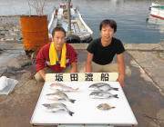 湾内の筏・黒島の筏でチヌ・アイゴ・マダイの釣果　