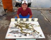 湾内の筏・黒島の筏でチヌ・アイゴ・マダイの…