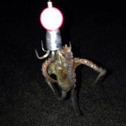 タコジグで大漁！武庫川河口オクトパッシング