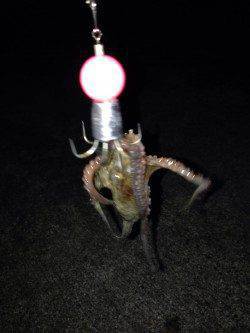 タコジグで大漁！武庫川河口オクトパッシング