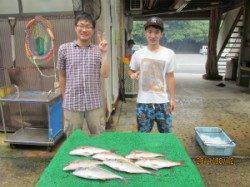 田井の釣り堀でシマアジ・マダイ・メジロ