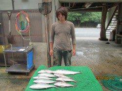 田井の釣り堀でシマアジ・マダイ・メジロ