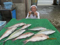 イワシをエサにシマアジ・マダイをキャッチ　…