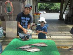 田井の海上釣り堀出のキッズ釣果〜マダイ・シ…