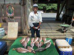 田井の海上釣り堀出のキッズ釣果〜マダイ・シマアジ