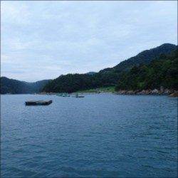 日引イカダにチヌ釣行〜潮色回復後に期待