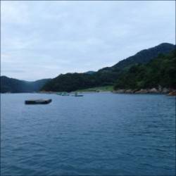 日引イカダにチヌ釣行〜潮色回復後に期待