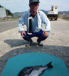 沖一文字外向きのカゴ釣りでイサギ、年なしチヌ52cmも！