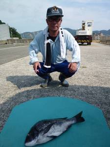 沖一文字外向きのカゴ釣りでイサギ、年なしチヌ52cmも！