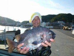 沖一文字外向きでイシダイ42cmをキャッチ