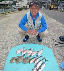 ヒラバエのカゴ釣りでチャリコ・カワハギ・イサギ・ゴマサバ