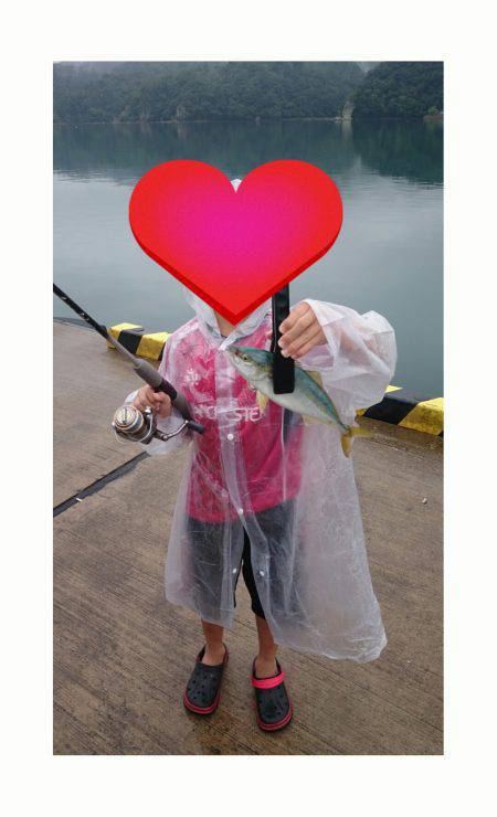 柴山湾ファミリー釣行　アジなどのほかツバス…