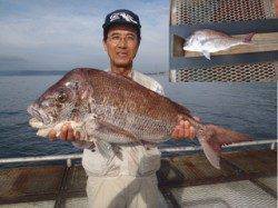 須磨海釣り公園　イワシのエサにマダイ79cm