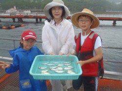 須磨海づり公園　雨の中サビキでアジ釣果