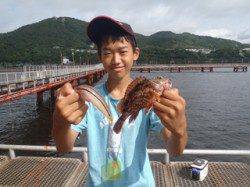 尼崎市魚つり公園　落とし込みでガシラ＆ベラ