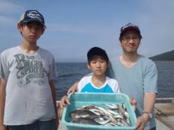 須磨海づり公園　サビキでアジ&ウマ…