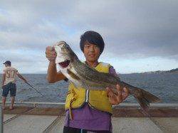 のませ釣りで良型ハネ！　須磨海づり公園
