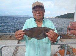 ウマヅラハギ36cmをキャッチ！　須磨海づり公園