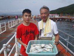 須磨海づり公園　サビキでアジ・サバの釣果