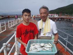 須磨海づり公園　サビキでアジ・サバの釣果