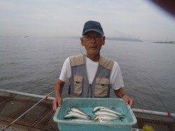 須磨海づり公園　サビキで良型アジの釣果