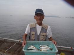 須磨海づり公園　サビキで良型アジの釣果