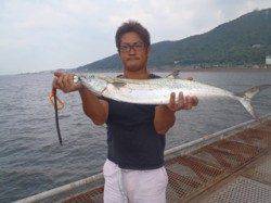 バイブレーションでサワラ81cmをゲット　神戸市立須磨海づり公園