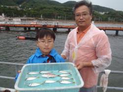 須磨海づり公園　サビキでアジの釣果