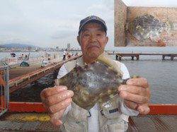 須磨海づり公園　マルハギの記録賞サイズ23.0cmをゲット