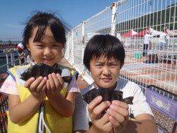 サビキでサンバソウが釣れました　須磨海づり公園