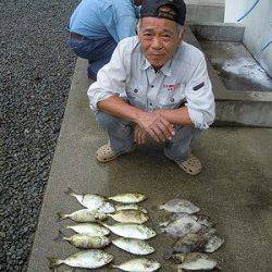 湯浅の磯　酒カスをエサにアイゴ、ほかカワハギの釣果も