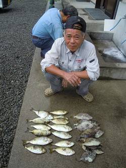 湯浅の磯　酒カスをエサにアイゴ、ほかカワハ…