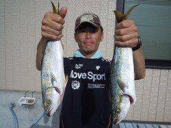 湯浅の磯　ショアジギングでツバス4尾の釣果