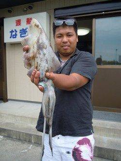 アオリイカ胴長33cm(1.09kg)を頭に6パイ　湯浅の磯エギング